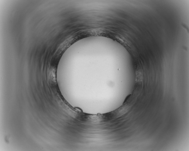 X0000100870238200807071110