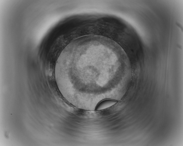 X0000100870239200807071110