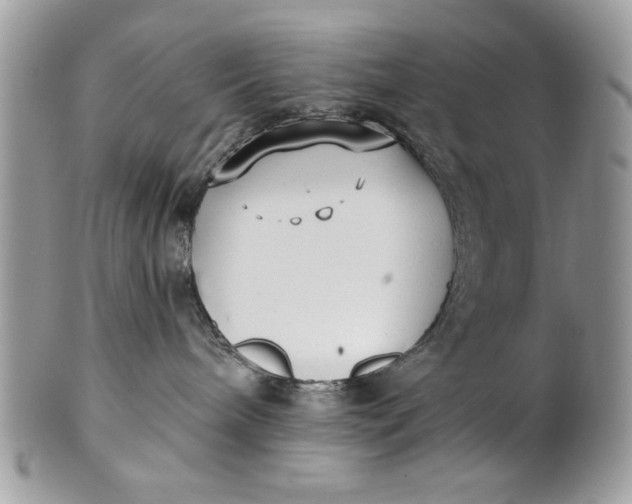 X0000100870240200807071110