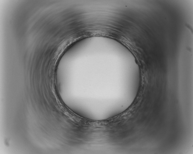 X0000100870241200807071109