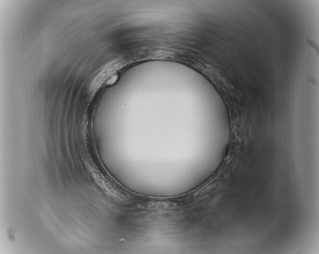 X0000100870242200807071109