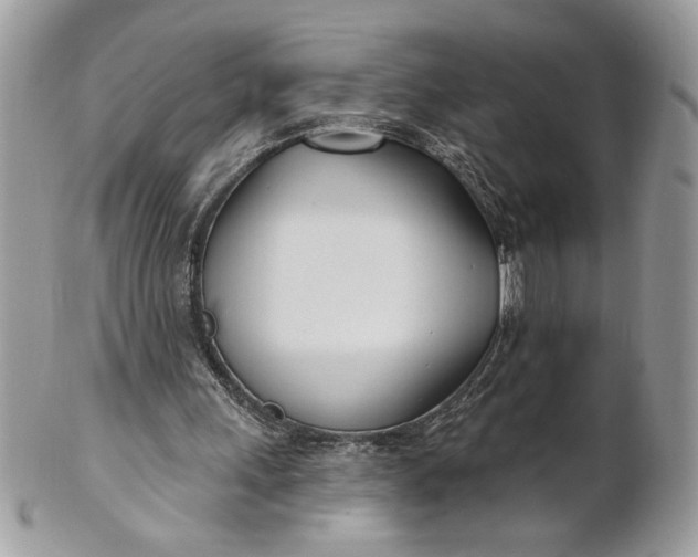 X0000100870243200807071109