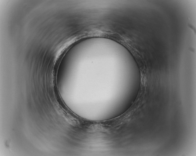 X0000100870244200807071109