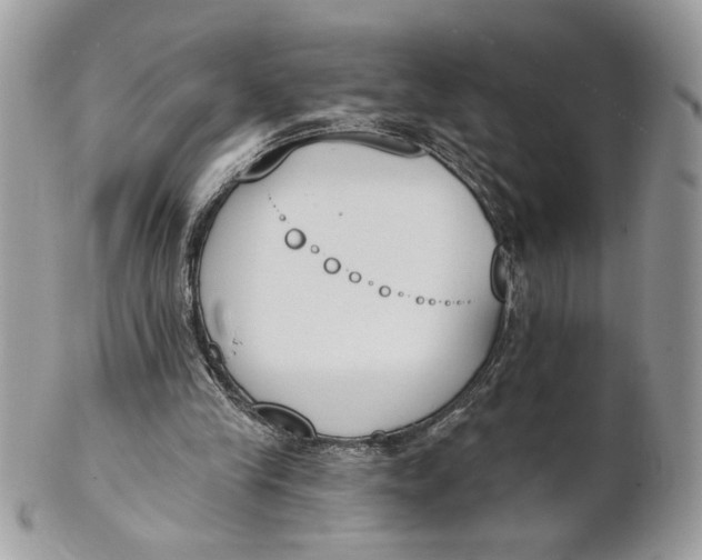 X0000100870245200807071109