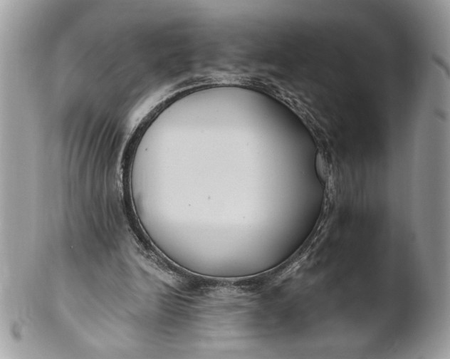 X0000100870246200807071109