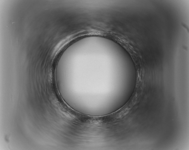 X0000100870247200807071109