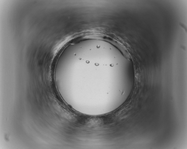 X0000100870248200807071109