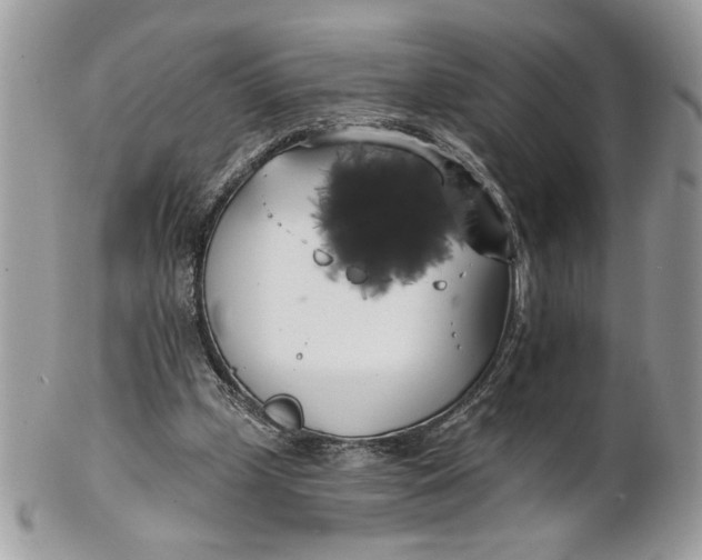 X0000100870249200807071109