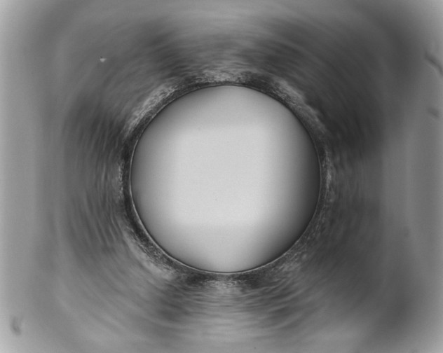 X0000100870250200807071109