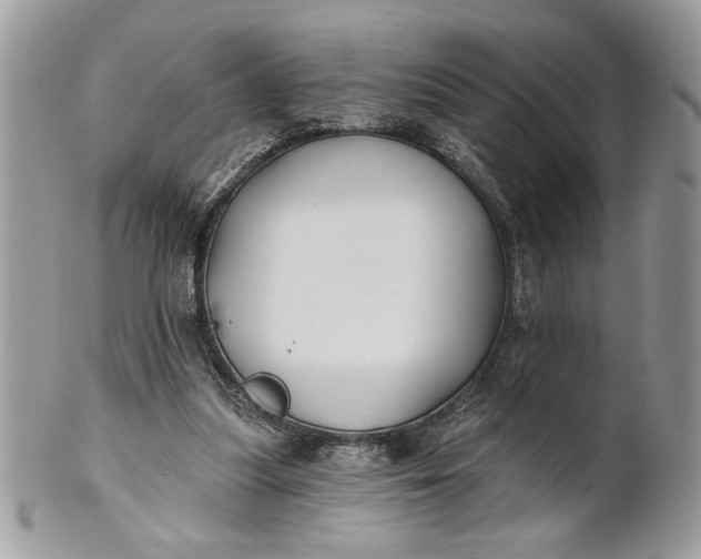 X0000100870251200807071109