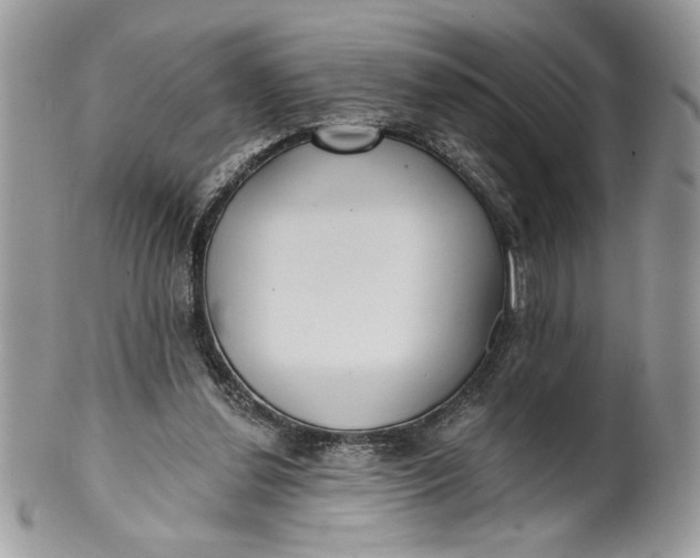 X0000100870252200807071109