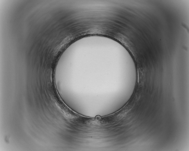 X0000100870253200807071109