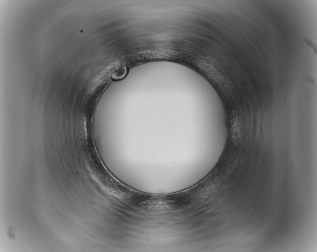 X0000100870254200807071109