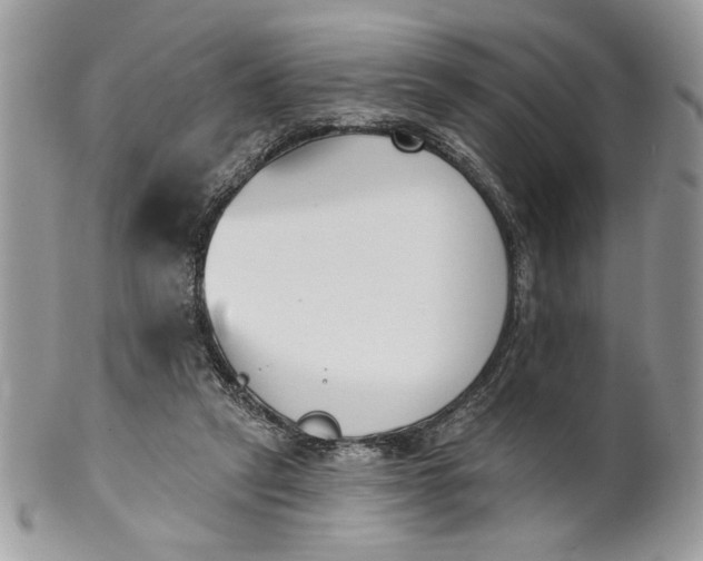 X0000100870257200807071109