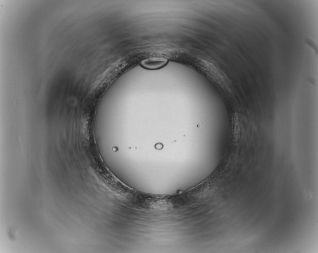 X0000100870258200807071109