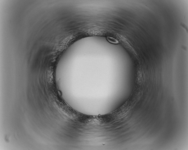 X0000100870259200807071109