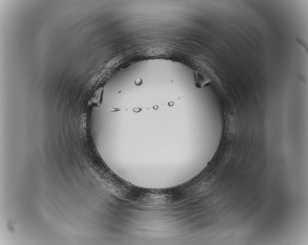 X0000100870260200807071109