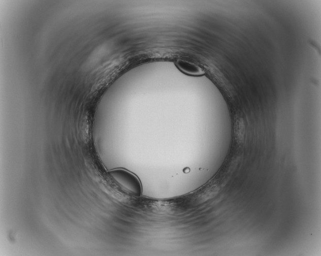 X0000100870261200807071109