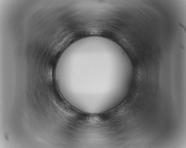 X0000100870262200807071110