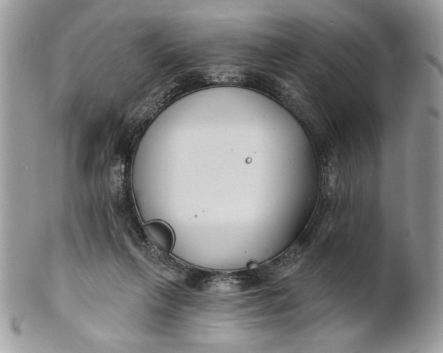 X0000100870263200807071110