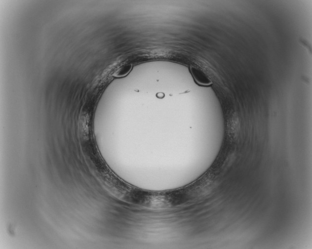 X0000100870264200807071110