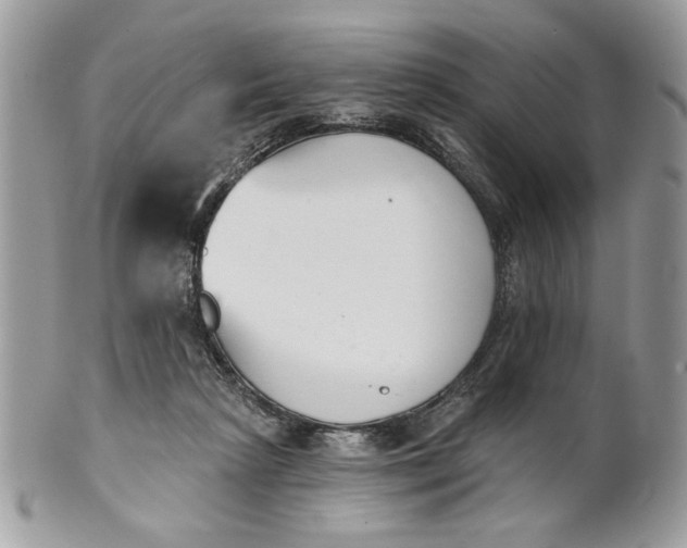 X0000100870265200807071110