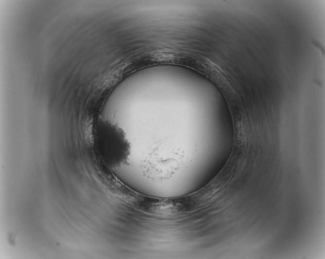 X0000100870267200807071110