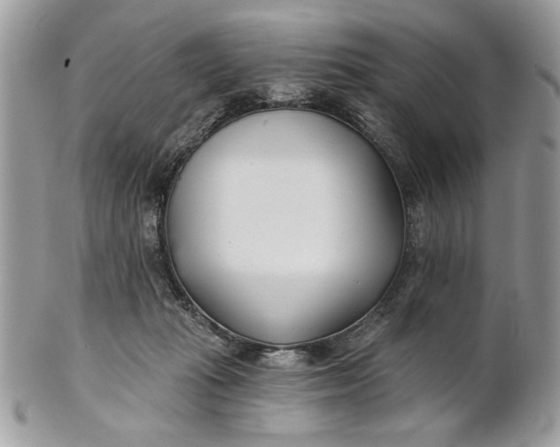 X0000100870269200807071110