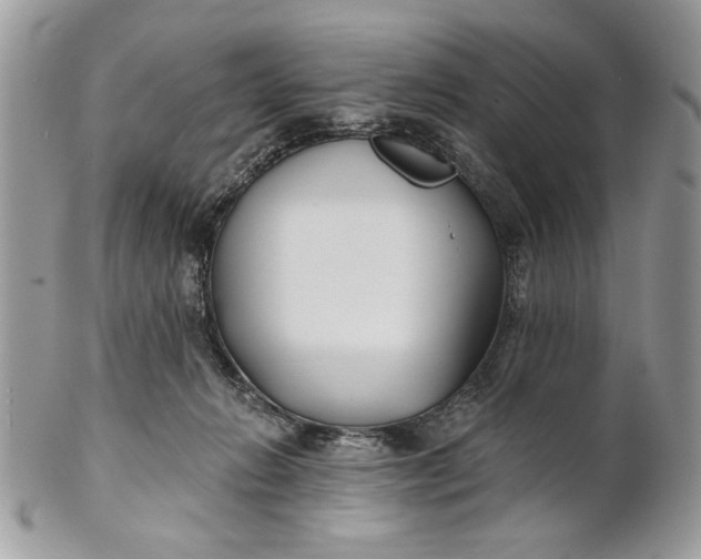 X0000100870270200807071110