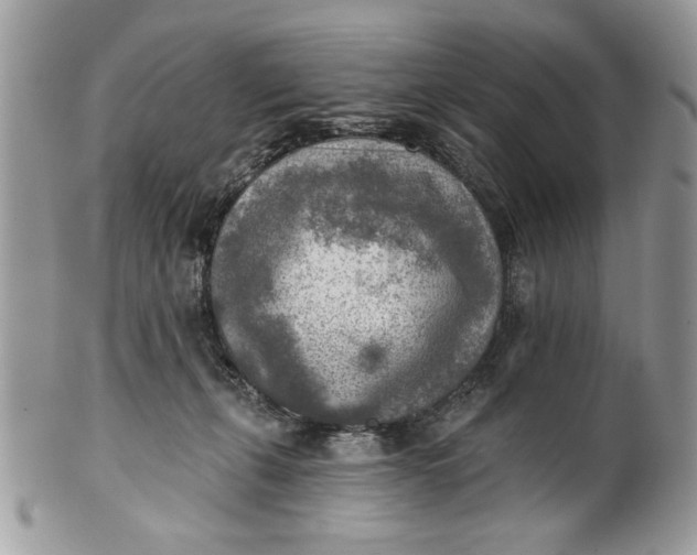 X0000100870271200807071110