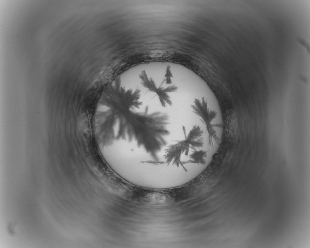 X0000100870272200807071110