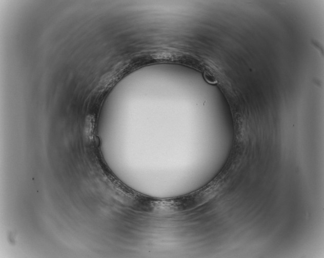 X0000100870273200807071110