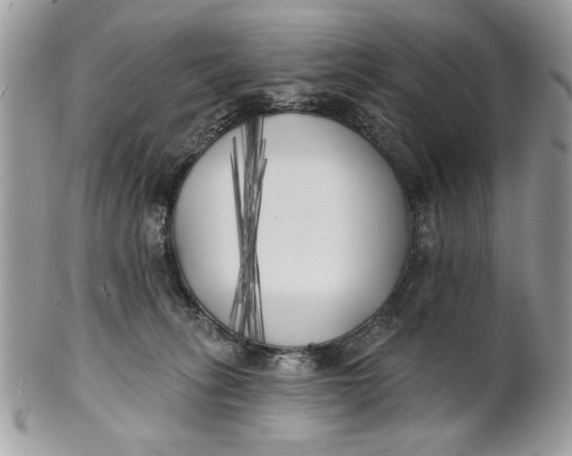 X0000100870275200807071110