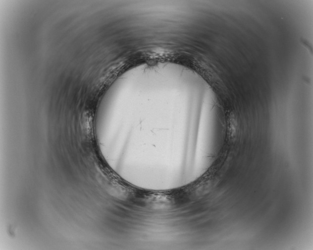 X0000100870276200807071110