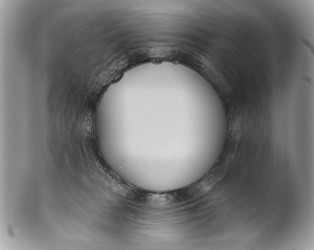 X0000100870277200807071110