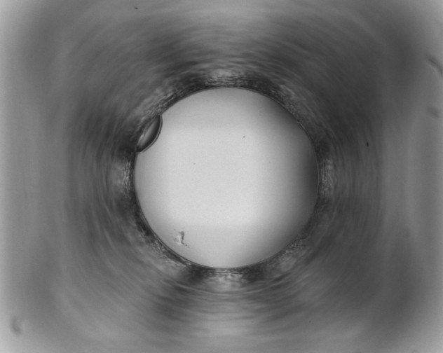 X0000100870278200807071110