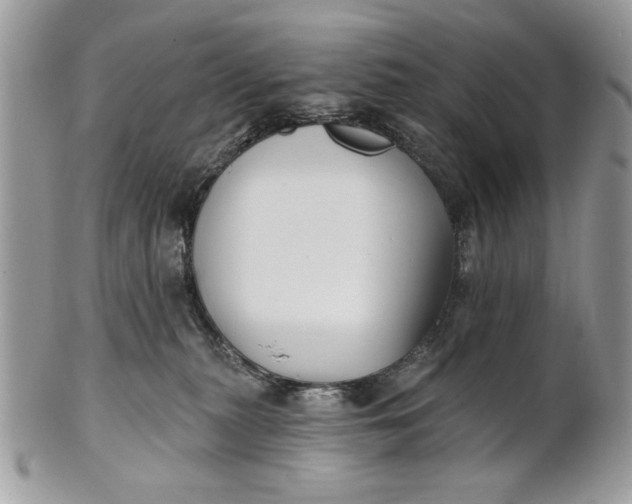 X0000100870279200807071110