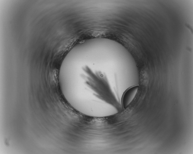 X0000100870280200807071110