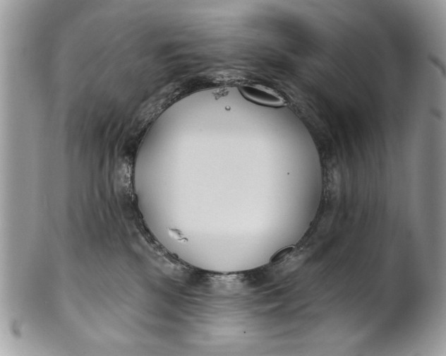 X0000100870281200807071110