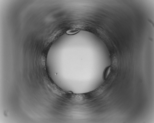 X0000100870282200807071110