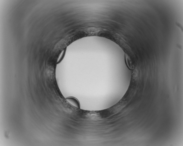 X0000100870283200807071110