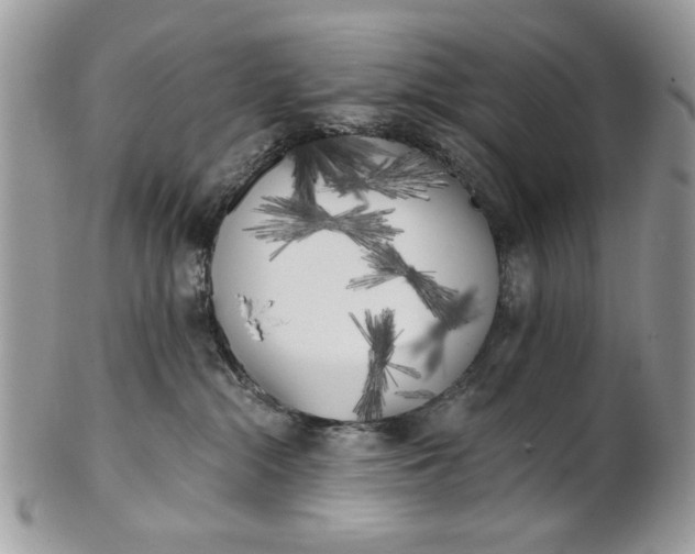 X0000100870284200807071110