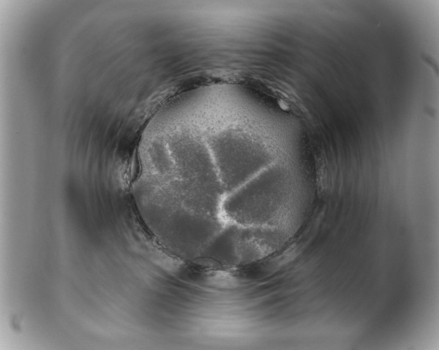 X0000100870285200807071110