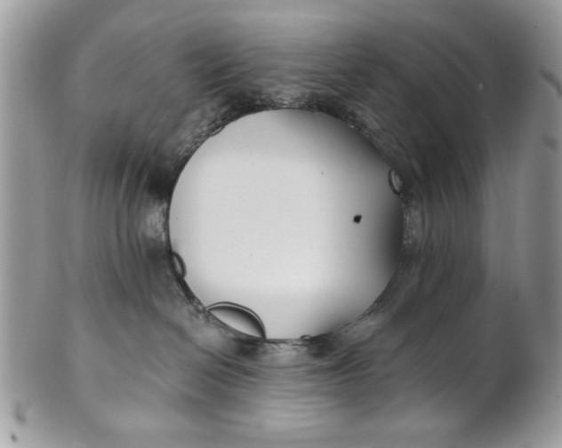 X0000100870286200807071110