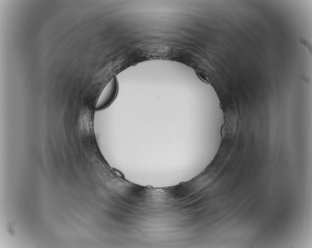 X0000100870287200807071110