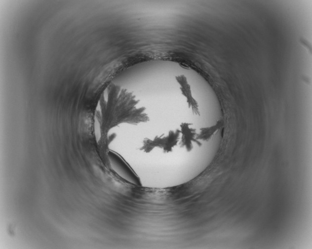 X0000100870288200807071110