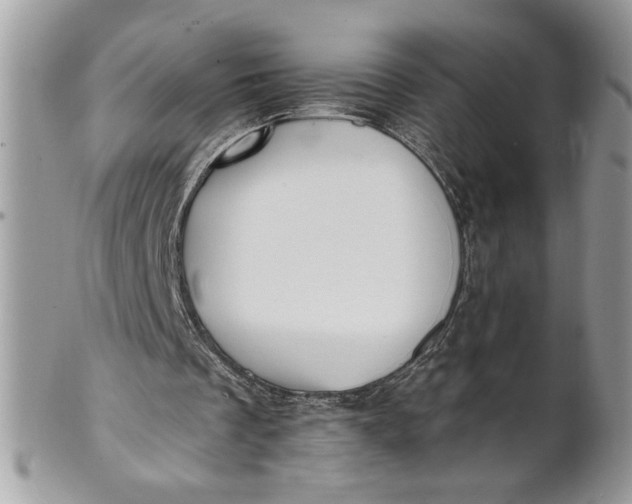 X0000100870289200807071109