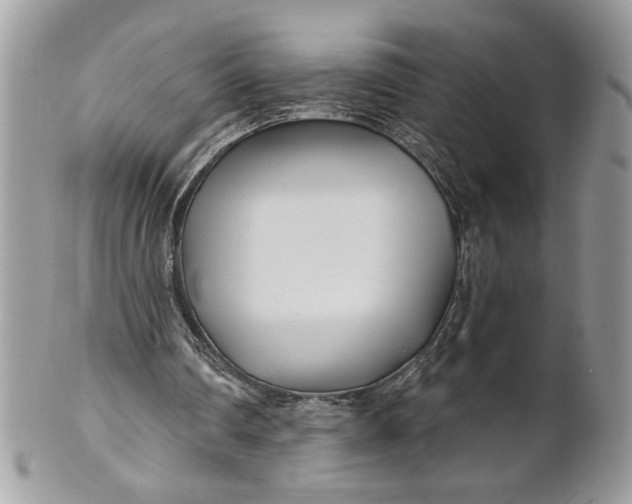 X0000100870290200807071109