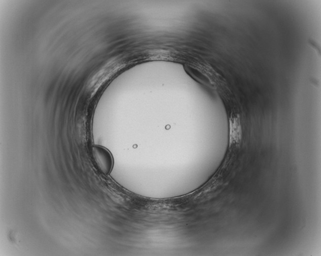 X0000100870291200807071109