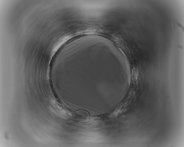 X0000100870292200807071109